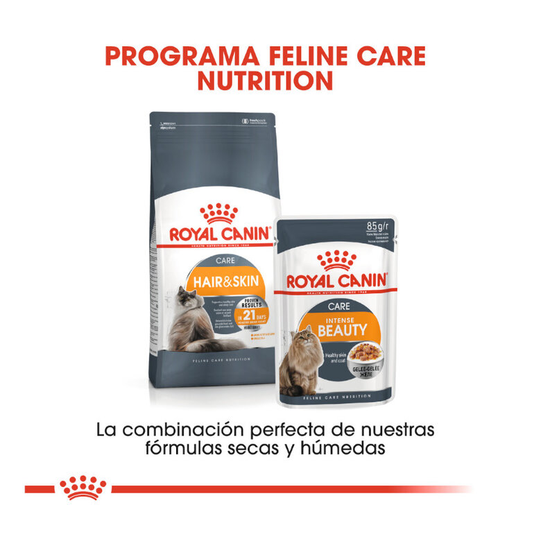 Royal Canin Hair&Skin ração para gatos, , large image number null